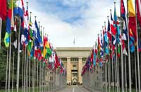 International Organzations and Conferences
